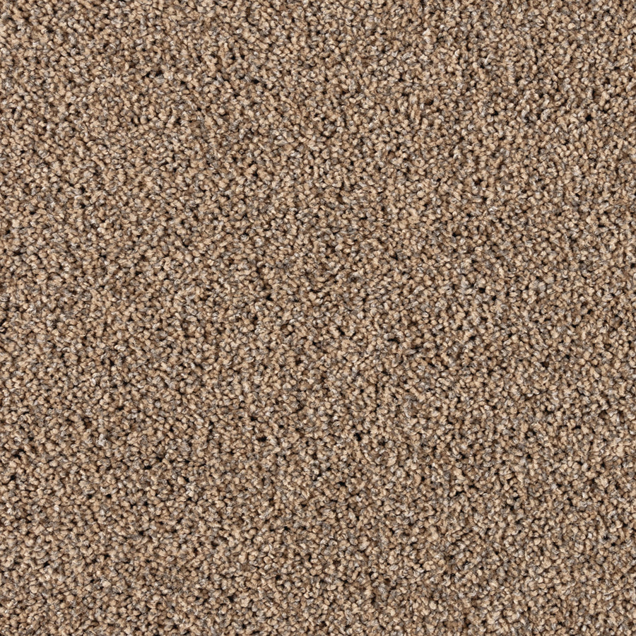 Close-up of Simply Opulent Pet Friendly Carpet, featuring a dense, looped pile in light brown tones. Soft and uniform, with subtle beige and tan variations for an elegant, durable flooring choice throughout your home.