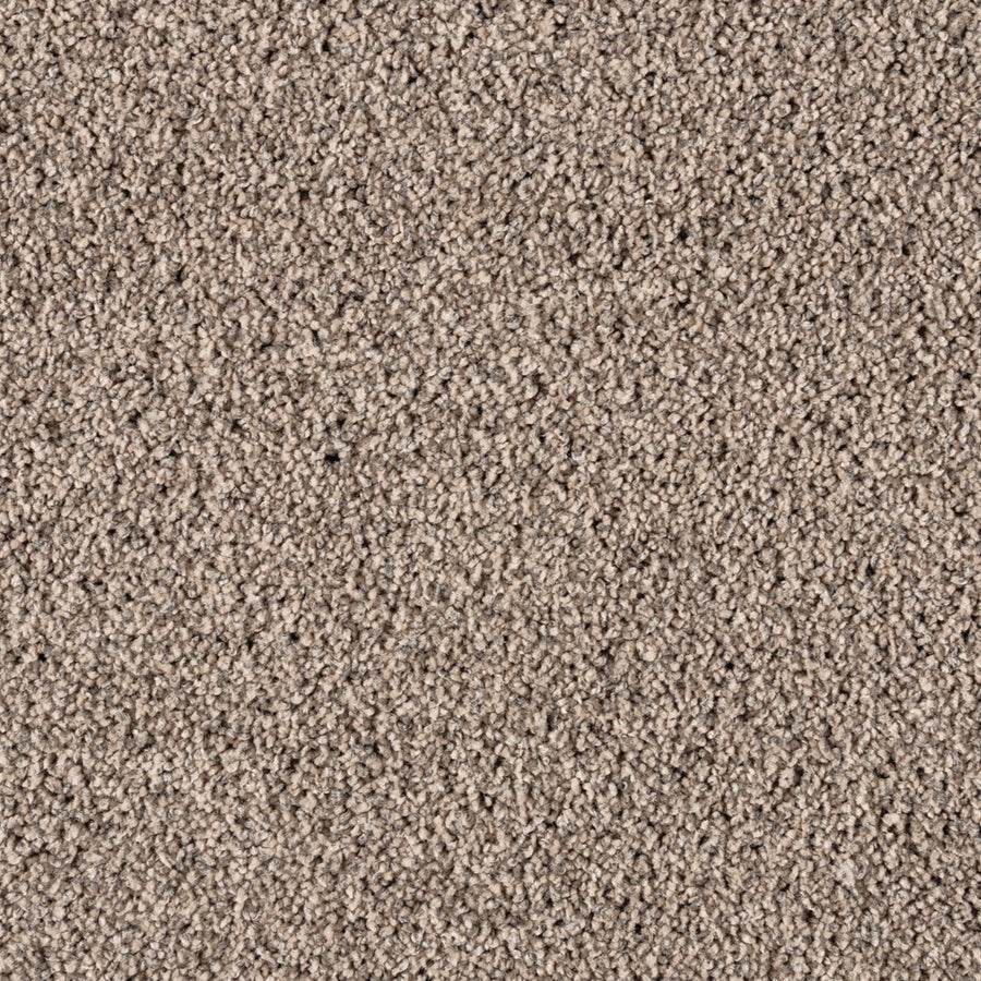 Close-up view of Simply Opulent Pet Friendly Carpet in light brown, featuring tightly woven fibers for a soft, uniform look with a luxurious texture.