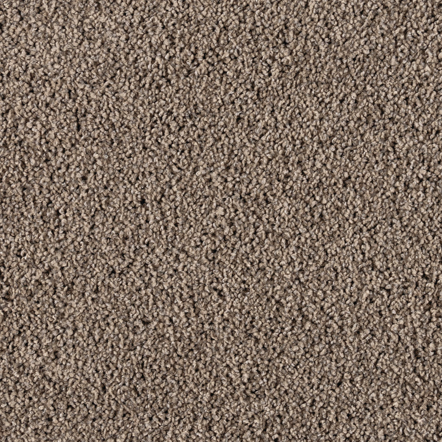 Close-up of Simply Opulent Pet Friendly Carpet—a textured brown luxury flooring with tightly woven loops, providing a soft, stylish, and comfortable surface ideal for any space.