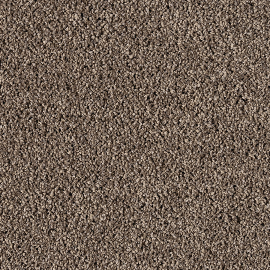 Close-up of Simply Opulent Pet Friendly Carpet in textured brown, featuring tightly woven fibers for a soft, uniform surface. The medium-dark hue provides an elegant, warm touch to your space while being ideal for homes with pets.