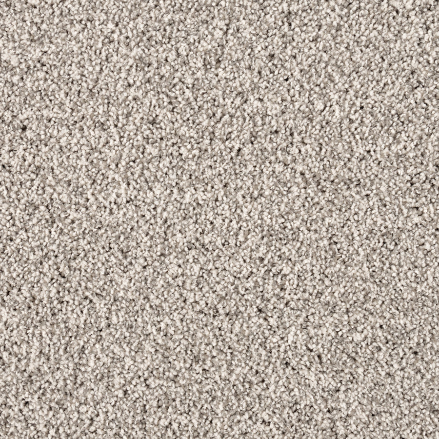 A close-up of Simply Opulent Pet Friendly Carpet reveals a light beige, textured surface with dense, soft pile—an elegant and durable flooring choice ideal for any space.