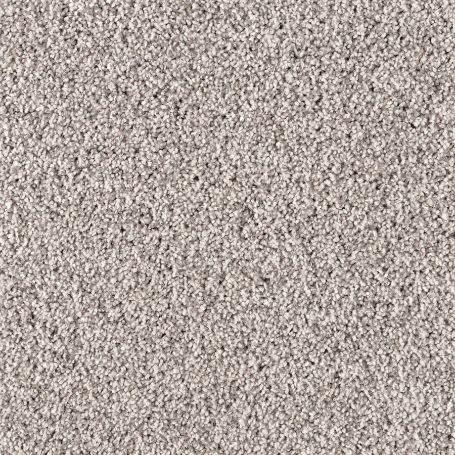 Close-up view of Simply Opulent Pet Friendly Carpet in light gray, featuring a soft, dense pile that's evenly distributed. This luxury carpet adds an elegant touch to any space while offering a plush and pet-friendly surface.
