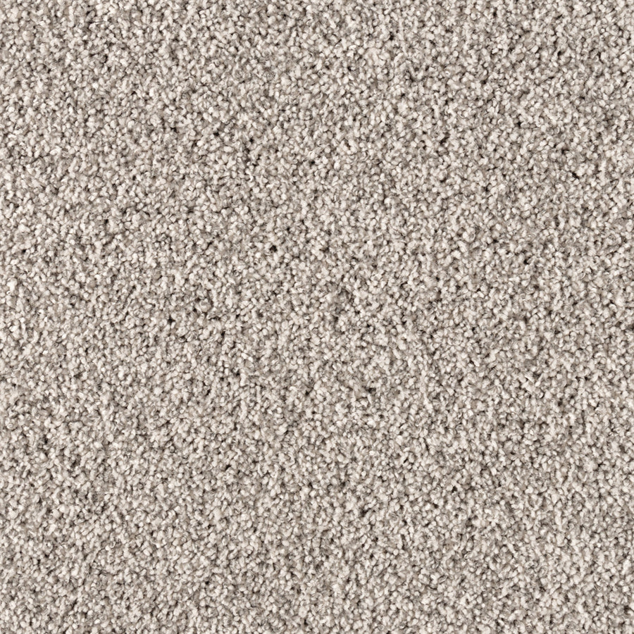 Close-up view of Simply Opulent Pet Friendly Carpet in light gray, featuring tightly looped fibers for a soft, uniform, and elegant textured surface—an ideal luxury flooring option.