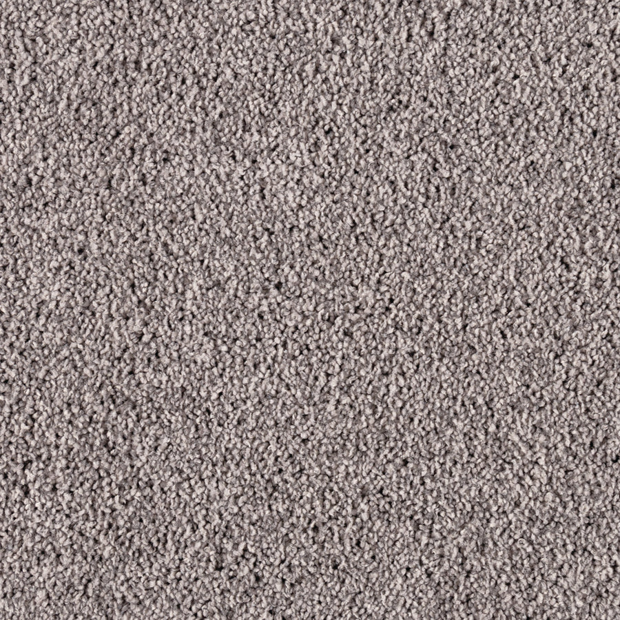 Close-up of Simply Opulent Pet Friendly Carpet in light gray, featuring a soft, plush texture and detailed fibers with a consistent pattern—an elegant, durable flooring option for any space.