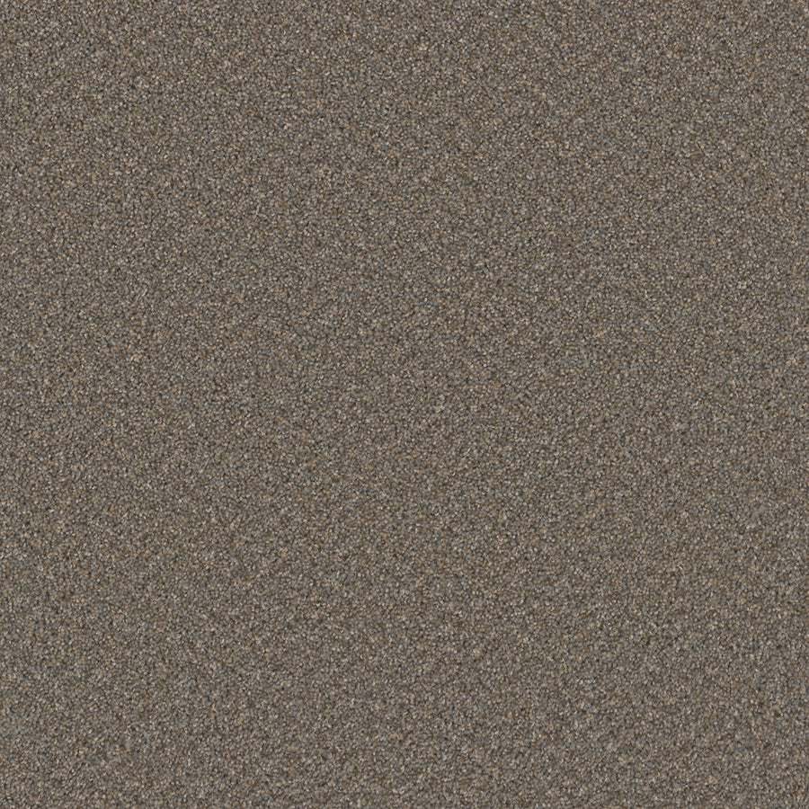 Broadcast Family Friendly Carpet