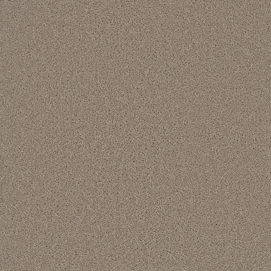 Broadcast Family Friendly Carpet