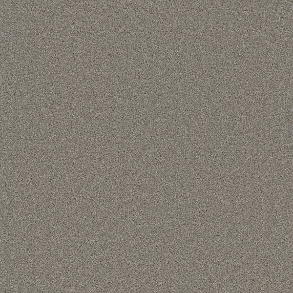 Close-up view of Broadcast Family Friendly Carpet featuring fine, light gray fibers with small, evenly spread grains for a smooth, plush surface—no distinct patterns or objects visible; perfect for any family space.