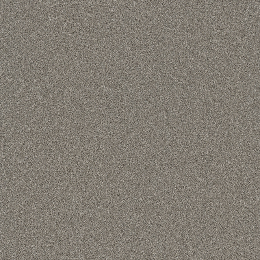 Close-up view of Broadcast Family Friendly Carpet featuring fine, light gray fibers with small, evenly spread grains for a smooth, plush surface—no distinct patterns or objects visible; perfect for any family space.