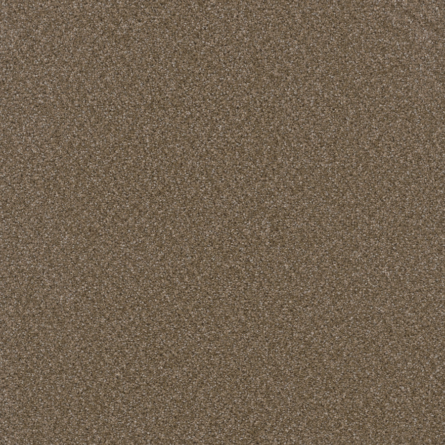 Broadcast Family Friendly Carpet