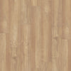 Sesame Acacia