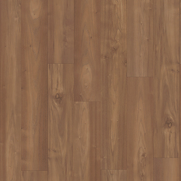Close-up of Charlotte Woods 7 1/2