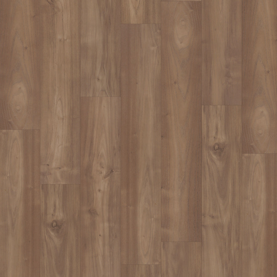 Charlotte Woods 7 1/2" Laminate in Coconut Acacia offers a durable, medium brown wood-look finish with natural grain, subtle knots, and varied plank lengths for a warm, rustic style.