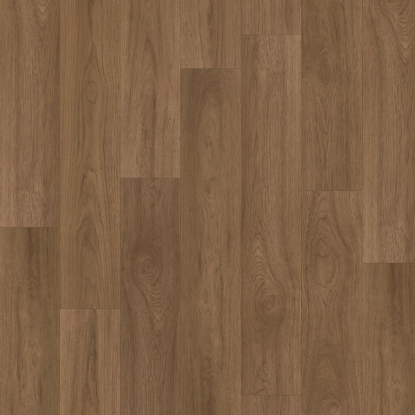 A close-up of Woodstock Knoll 7.5