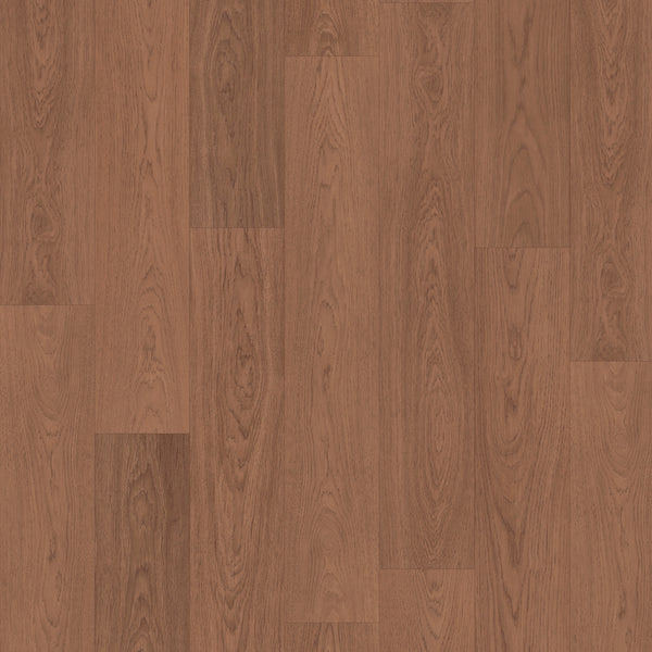 A close-up of Sagehill Hollow 7 1/2