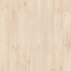 Sandhill Chestnut