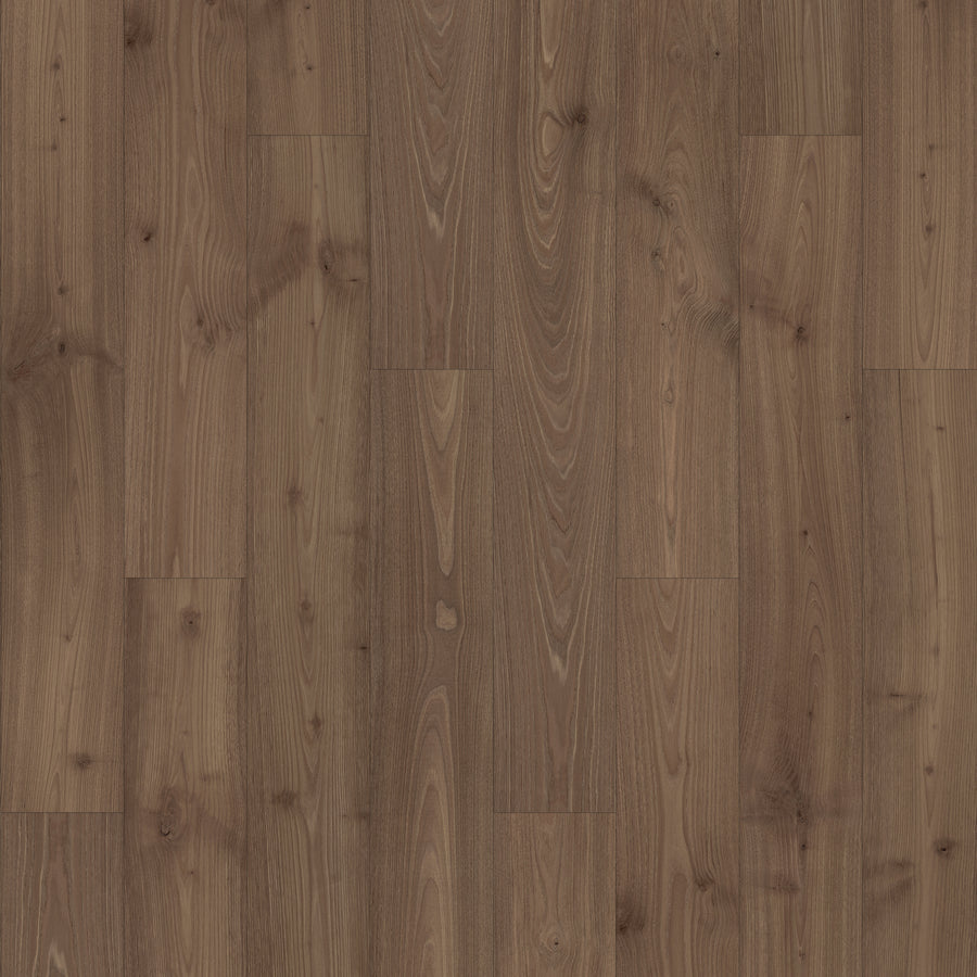 Madison Aisle 7 1/2" Laminate in Molasses Chestnut features medium brown, wood-look planks with natural grain and knots in a staggered layout. Its matte, scratch-resistant surface creates a rustic, authentic look.