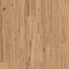 Clove Hickory