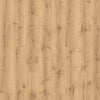 Tawny Owl Oak