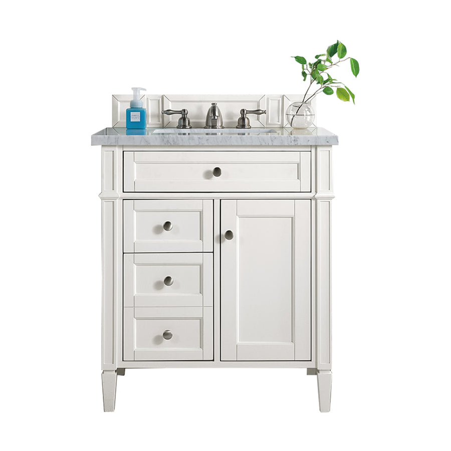 A white bathroom sink with a plant.