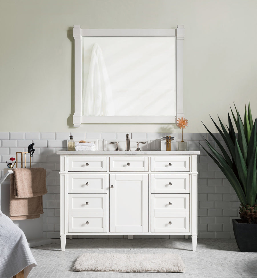 A modern bathroom showcases the Brittany 48" Vanity with dual sinks, a large mirror, and silver faucets. A potted plant rests on the right, a towel on the left, and a plush rug enhances this luxury vanity setup.