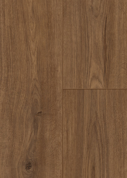 Close-up view of Wild Grove 7.6