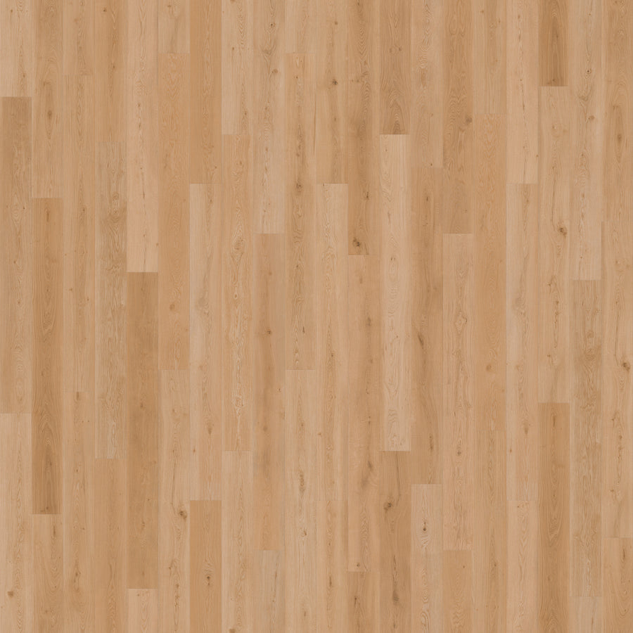 Mavericks 9 7/16" Waterproof Laminate in Harbor Honey features light tones, a natural grain pattern, varied plank lengths, and subtle knots and textures for a warm, inviting look.