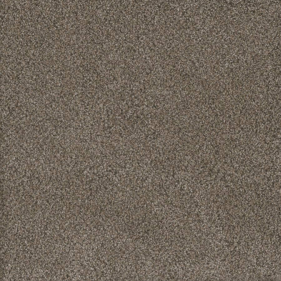 Close-up of Monte Carlo III Family Friendly Carpet, featuring densely packed, high performance fibers and a soft, plush texture. The brown surface displays a mottled pattern with light and dark tone variations.