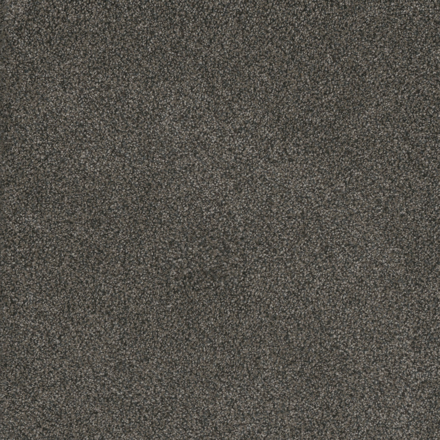 Close-up view of Monte Carlo III Family Friendly Carpet in dark gray, featuring dense pile and subtle shading. Crafted with high performance fibers for lasting durability, this in-stock carpet showcases premium quality and family-friendly design.