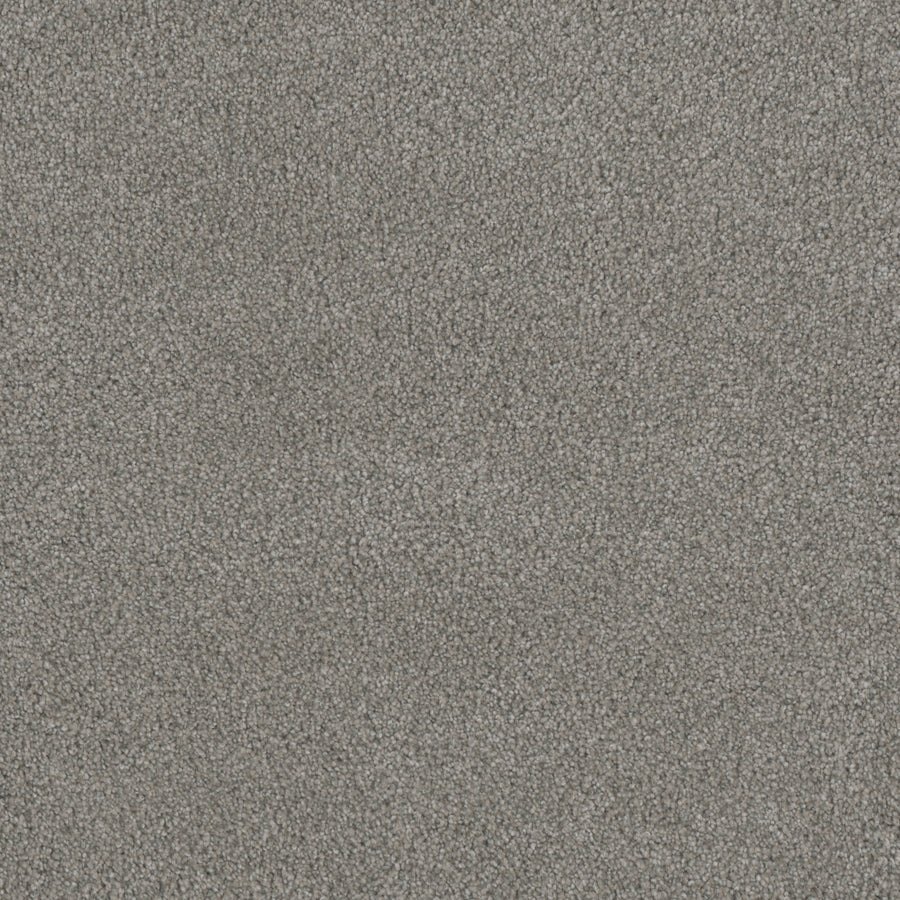 Close-up of Monte Carlo III Family Friendly Carpet in gray, featuring a soft, looped pile and subtle mottling. Made with high performance fibers, this in-stock carpet is durable and visually appealing for any space.