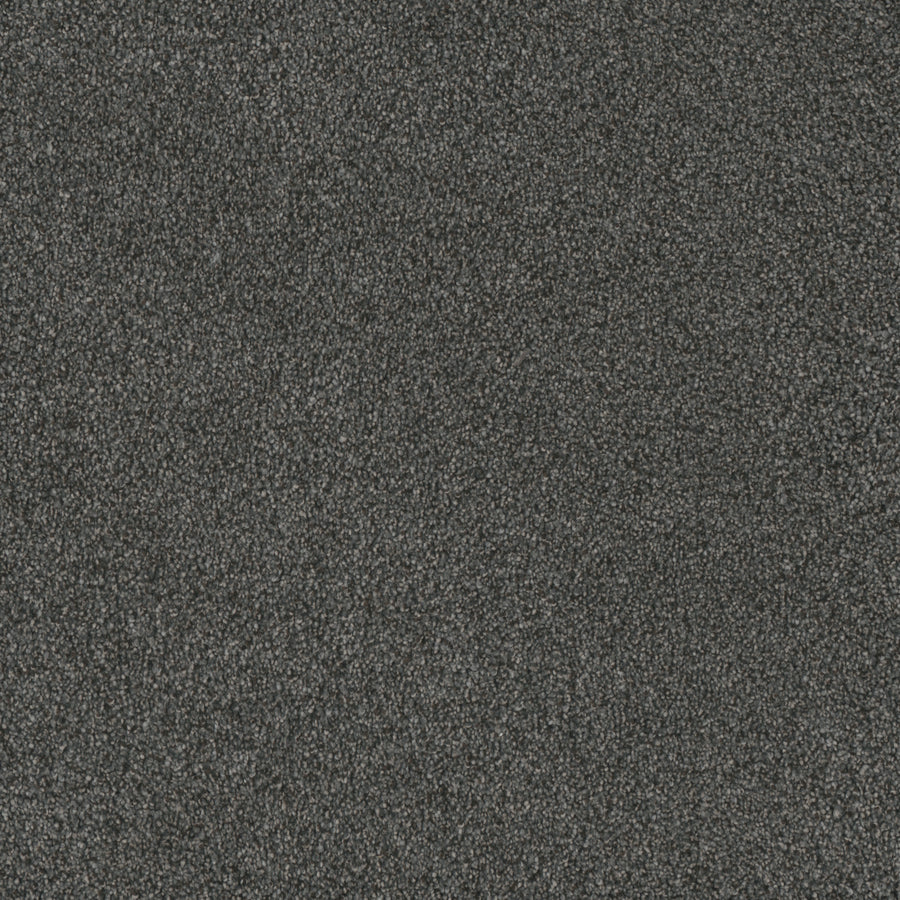 Close-up view of Monte Carlo III Family Friendly Carpet in dark gray, made with high performance fibers for a soft, textured surface. Densely packed for a uniform appearance—ideal for those seeking quality in stock carpet.