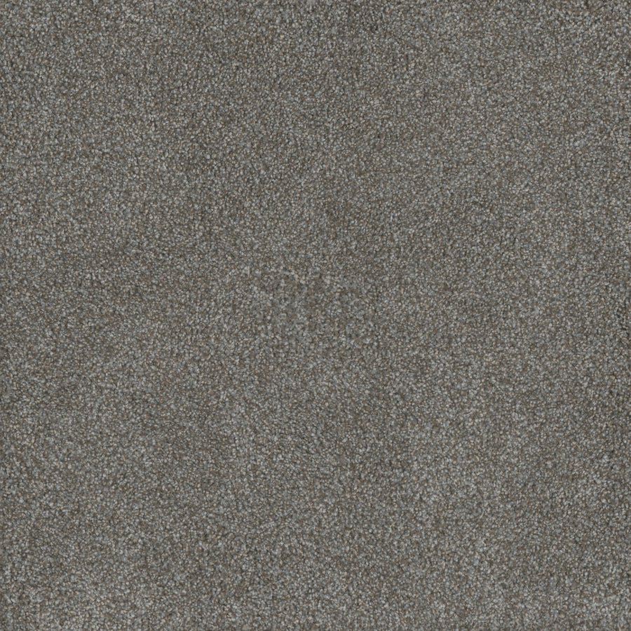 Close-up of Monte Carlo III Family Friendly Carpet, featuring a dense, uniform pattern of high performance fibers. The textured surface looks soft and is speckled with various shades of gray for a stylish, durable finish.