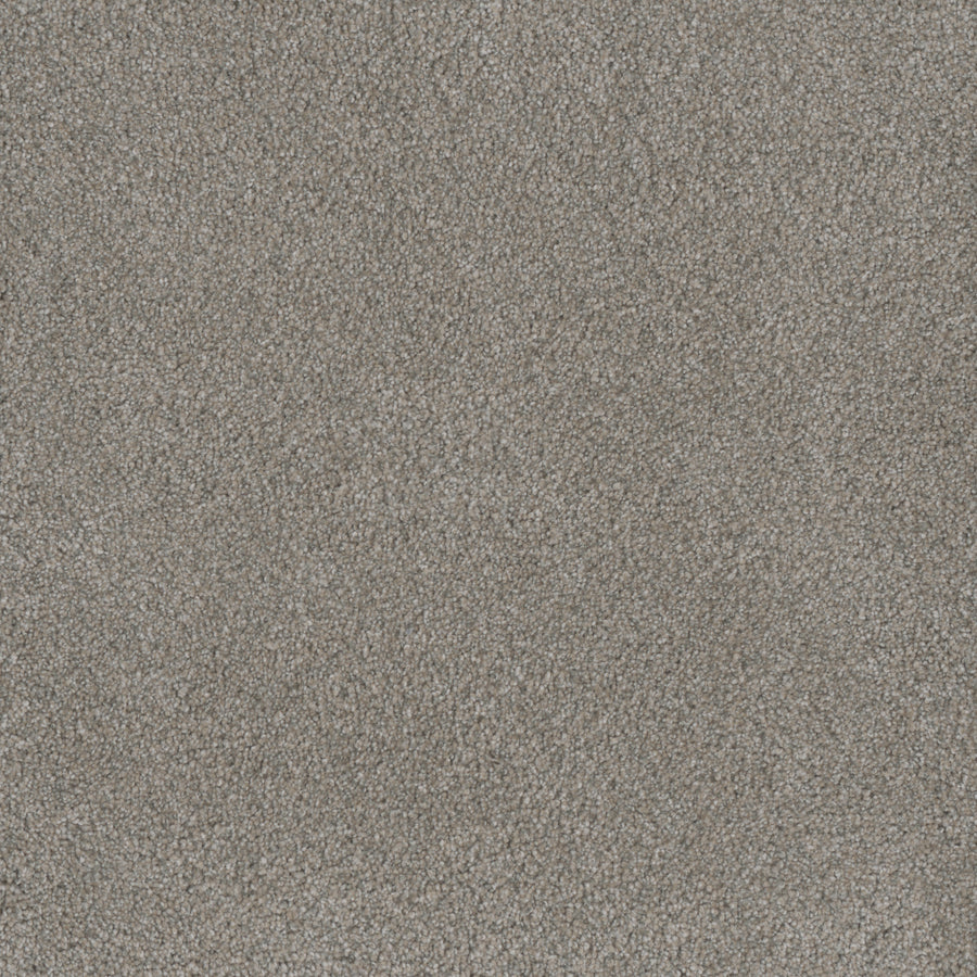 Monte Carlo III Family Friendly Carpet