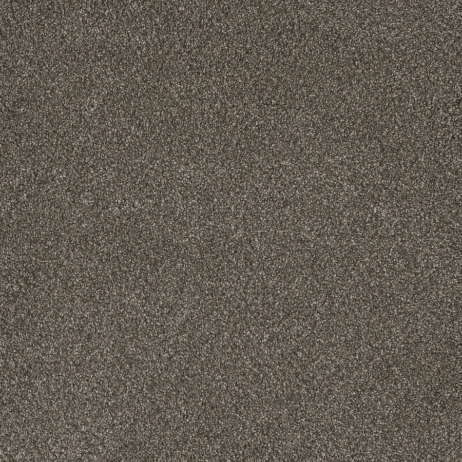 Close-up view of Monte Carlo III Family Friendly Carpet shows dense, high-performance fibers with a textured, slightly mottled surface. Subtle shades of brown and gray appear in the small loops and fibers.