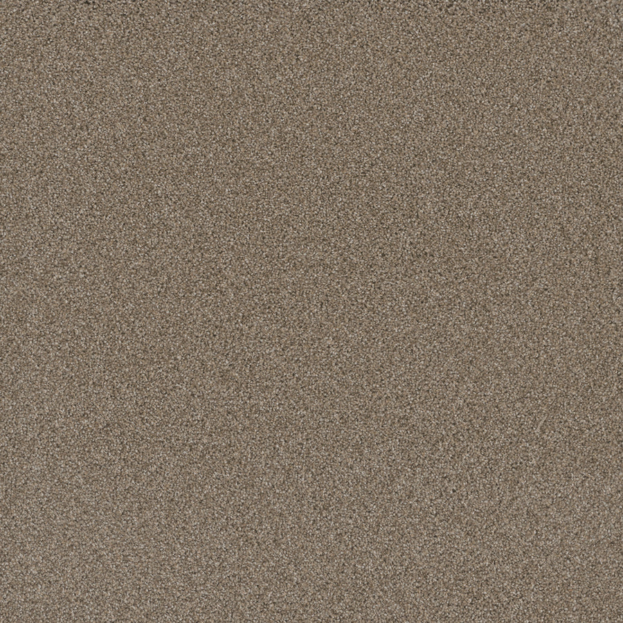 A close-up of fine, light brown fibers forms the uniform, soft texture of Cosmopolitan II Family Friendly Carpet—ideal for adding depth and sophistication to your interior.