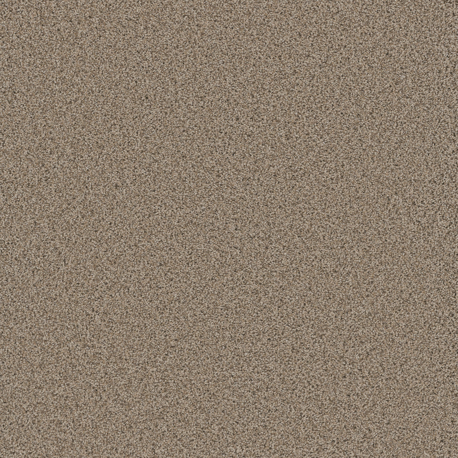 Close-up of Cosmopolitan II Family Friendly Carpet’s fine, light brown fibers packed tightly for a soft, heavy-weight texture—ideal for adding sophisticated style to your interior.