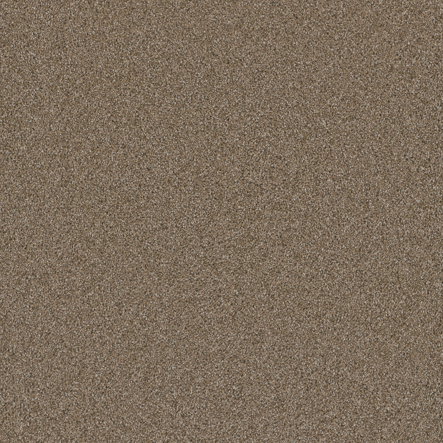Close-up view of fine brown sand-like fibers forms a soft, heavy-weight texture—Cosmopolitan II Family Friendly Carpet, perfect for adding depth and elegance to any sophisticated interior.