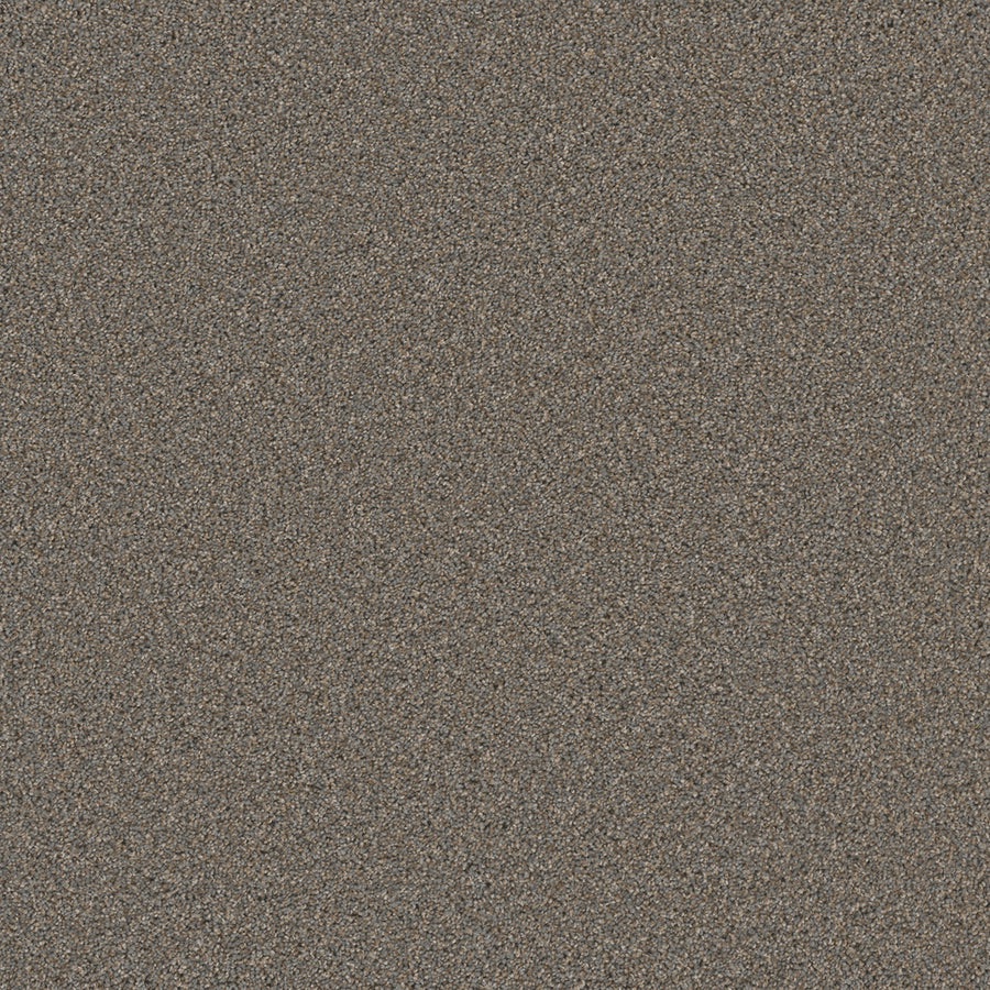Close-up of Cosmopolitan II Family Friendly Carpet reveals a dense, even spread of multicolored brown, gray, and tan fibers, creating a soft, heavy-weight texture ideal for sophisticated interior design.
