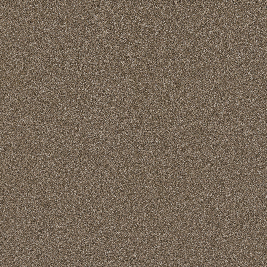 Close-up of Cosmopolitan II Family Friendly Carpet, featuring fine brown sand-inspired texture with a soft tonal finish—adds depth and elegance, perfect for sophisticated interiors with an Iron Frost-inspired palette.