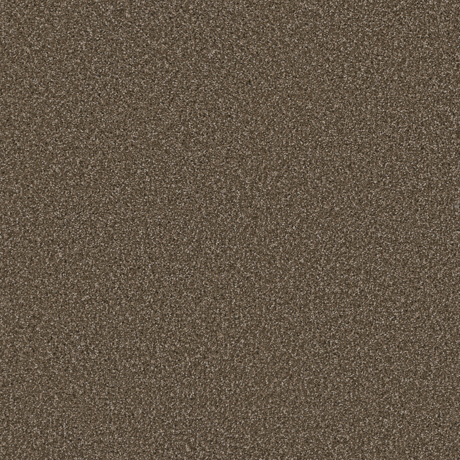 Close-up of Cosmopolitan II Family Friendly Carpet, showcasing its heavy-weight, soft tonal texture in brown. The uniform, grainy surface resembles fine gravel, providing a sophisticated and durable accent for modern interiors.