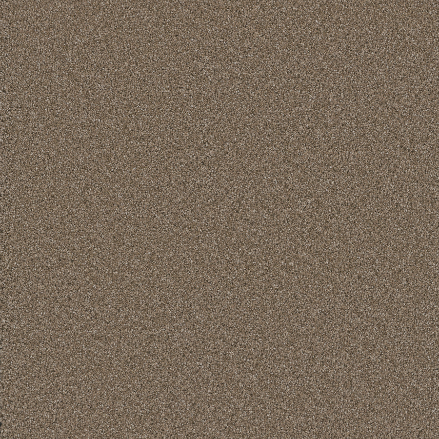 Close-up of the Cosmopolitan II Family Friendly Carpet’s dense, fine brown fibers, offering a soft tactile texture and subtle pattern—perfect for adding depth to interiors with Iron Frost-inspired sophistication.