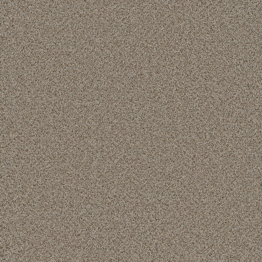 A close-up of the Cosmopolitan II Family Friendly Carpet showcases fine, light brown fibers densely packed for a soft, heavy texture—ideal for adding depth and sophistication to any interior space.
