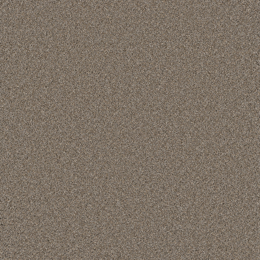 Close-up view of Cosmopolitan II Family Friendly Carpet, featuring a uniform, heavy weight soft light brown texture ideal for sophisticated interiors; no patterns or objects visible.