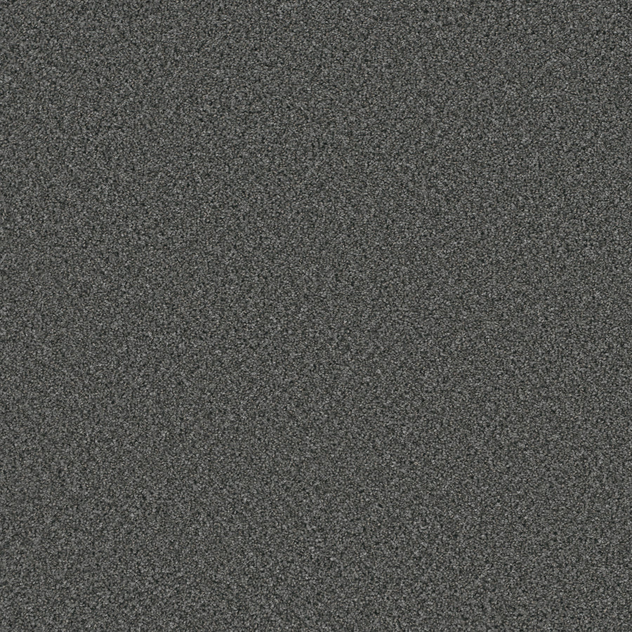 Close-up of Cosmopolitan II Family Friendly Carpet in dark gray, showcasing a heavy weight soft tonal texture and grainy look—perfect for adding a sophisticated touch to any interior.