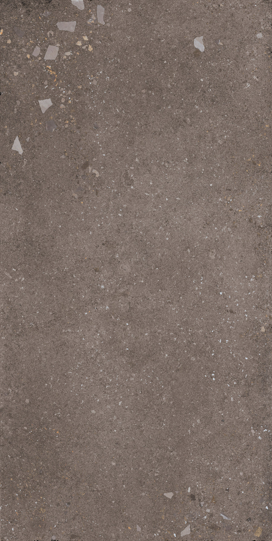 A close-up of the Strata 24" x 48" Tile in Earthen Rectified shows a textured surface with small pebbles, specks, and light fragments embedded for a durable, elegant finish.