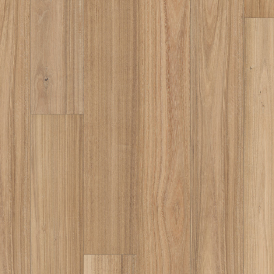 Harvest Glow 7 1/2" European Walnut Hardwood in Ackee features light brown wide planks with visible natural grain patterns and subtle knots, offering a smooth, polished look reminiscent of classic European walnut flooring.
