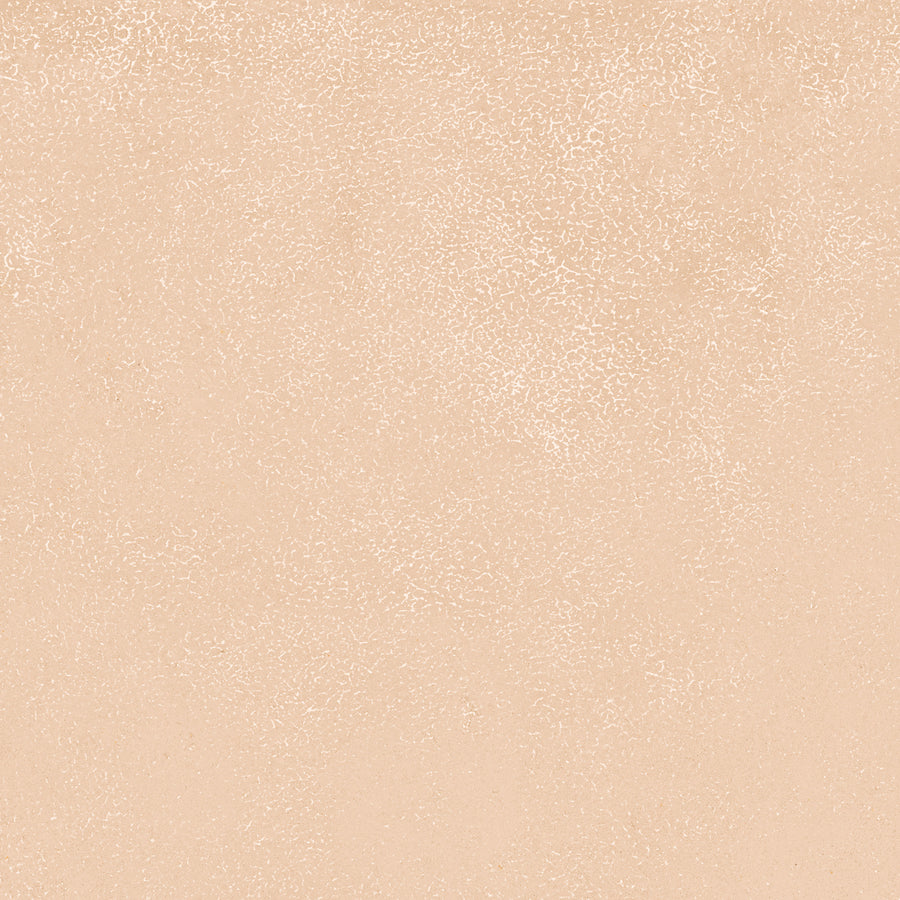 Light beige textured background with a subtle mottled pattern, similar to tiny white speckles or cracks, evokes the calming aesthetic of Avanti 12x12 Glazed Porcelain Tile.