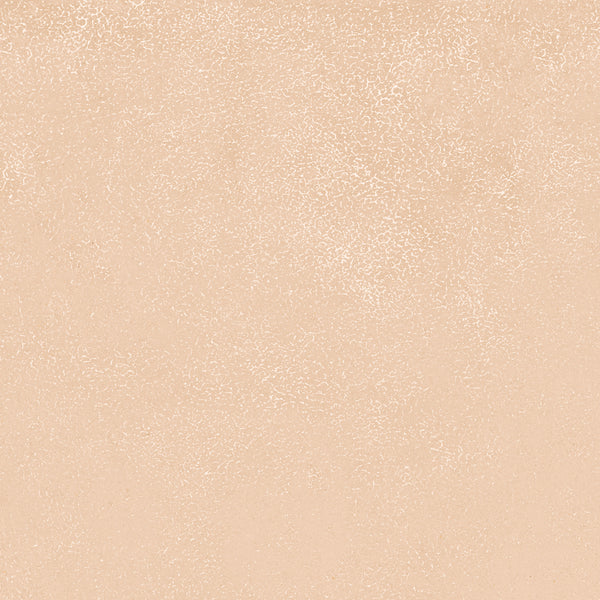 Light beige textured background with a subtle mottled pattern, similar to tiny white speckles or cracks, evokes the calming aesthetic of Avanti 12x12 Glazed Porcelain Tile.