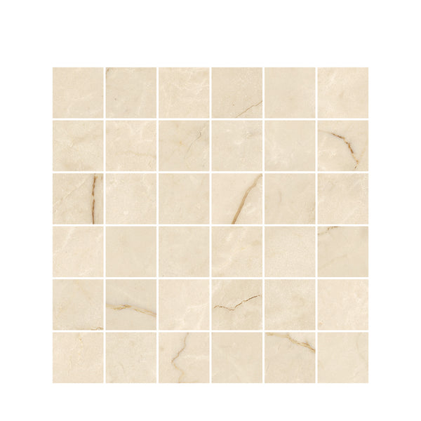 A 6x6 grid of Renaissance 2x2 Matte Porcelain Tiles in beige, featuring subtle marble-like veining on a white background, highlighting premium craftsmanship.