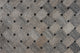 Bark