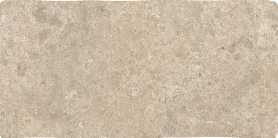 Abbey Stone XL 8.6" x 17.2" Ceramic Tile in Cluny features a rough, textured surface with natural color variations like light brown, gray, and tan speckles—ideal for bringing timeless stone style to modern interiors.